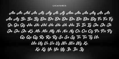 Regaltion Highter Font Poster 12