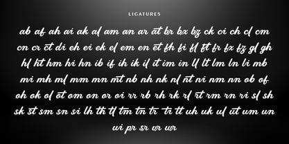 Regaltion Highter Font Poster 14