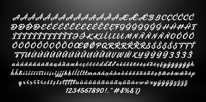 Regaltion Highter Font Poster 13