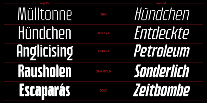 HN Verigale Font Poster 8