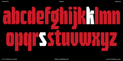 HN Verigale Font Poster 6