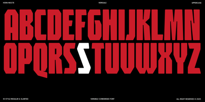 HN Verigale Font Poster 5