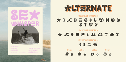 Segaro Font Poster 8