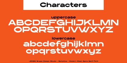 Solvetica Font Poster 3