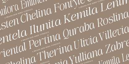 The Belvina Editorial Font Poster 9