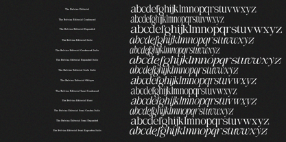 The Belvina Editorial Font Poster 14