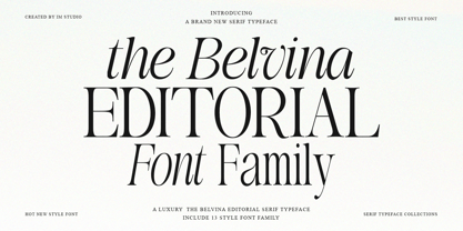 The Belvina Editorial Font Poster 1