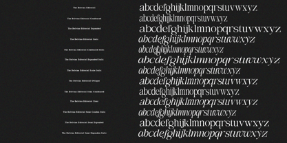 The Belvina Editorial Font Poster 15
