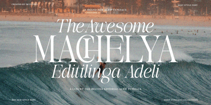 The Belvina Editorial Font Poster 4