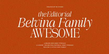 The Belvina Editorial Font Poster 3