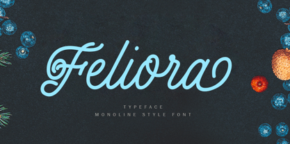 Feliora Font Poster 1
