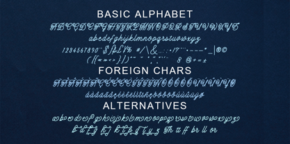 Feliora Font Poster 7