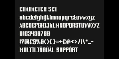Xalton Font Poster 5