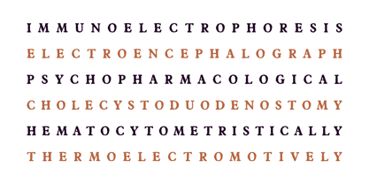 Castemire Font Poster 10