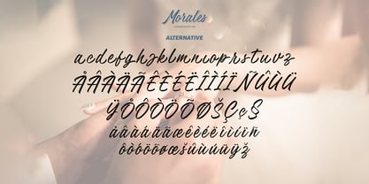 Morales Handwritten Font Poster 6