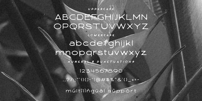 Kimane Font Poster 8