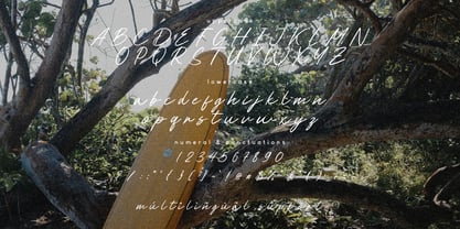 Managiri Font Poster 6