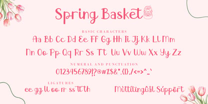 Spring Basket Font Poster 8