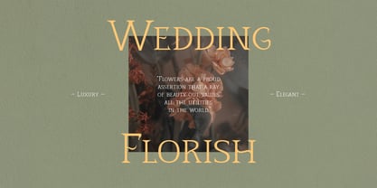Quiana Serif Font Poster 4