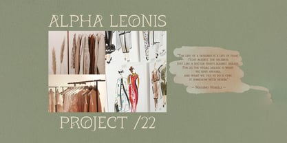 Quiana Serif Font Poster 5