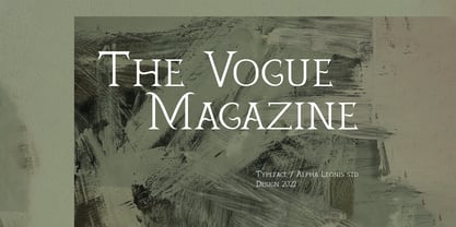Quiana Serif Font Poster 6