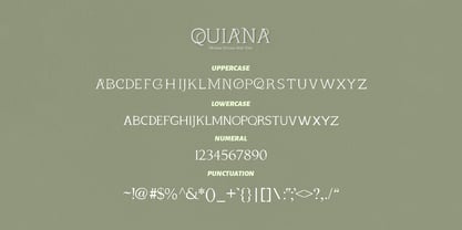 Quiana Serif Font Poster 9