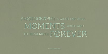 Quiana Serif Font Poster 8