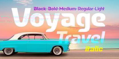 Delice Pro Font Poster 9