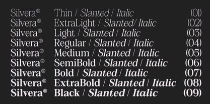 Silvera Text Font Poster 3