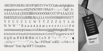 Silvera Text Font Poster 9