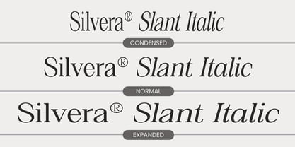 Silvera Text Font Poster 5