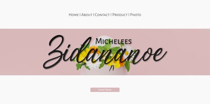 Willany Handwritten Font Poster 4