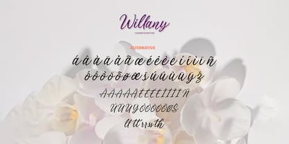 Willany Handwritten Font Poster 7