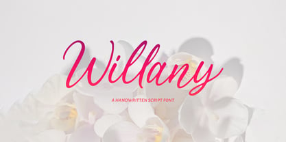 Willany Handwritten Font Poster 1