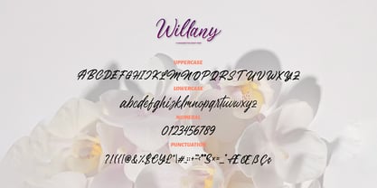 Willany Handwritten Font Poster 6