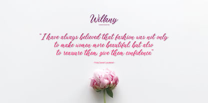 Willany Handwritten Font Poster 3
