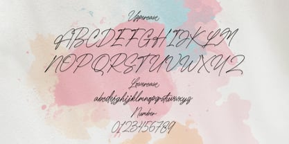 Billams Signature Font Poster 8