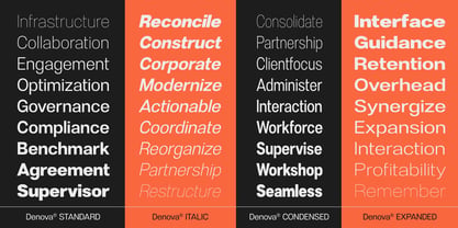 Denova Font Poster 5