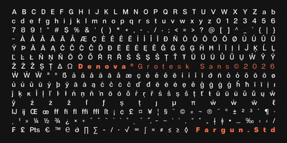 Denova Font Poster 14