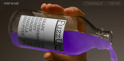 TT Rationalist Font Poster 13