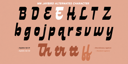 MN Jaybird Font Poster 6