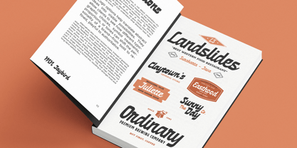 MN Jaybird Font Poster 11