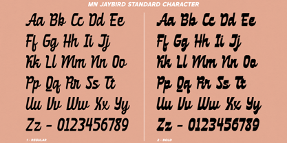 MN Jaybird Font Poster 5