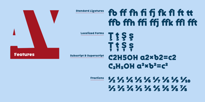 Bakerman Slab Font Poster 9