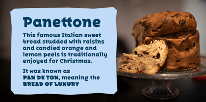 Bakerman Slab Font Poster 7
