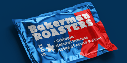 Bakerman Slab Font Poster 4