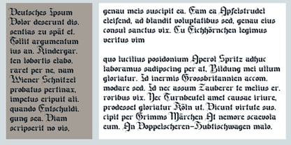 PN Cantonbloom Font Poster 7