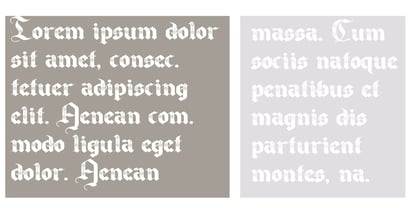 PN Cantonbloom Font Poster 4