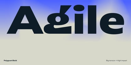 Polyguard Font Poster 9