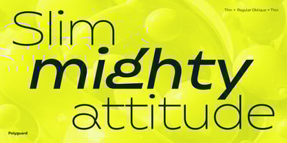 Polyguard Font Poster 10